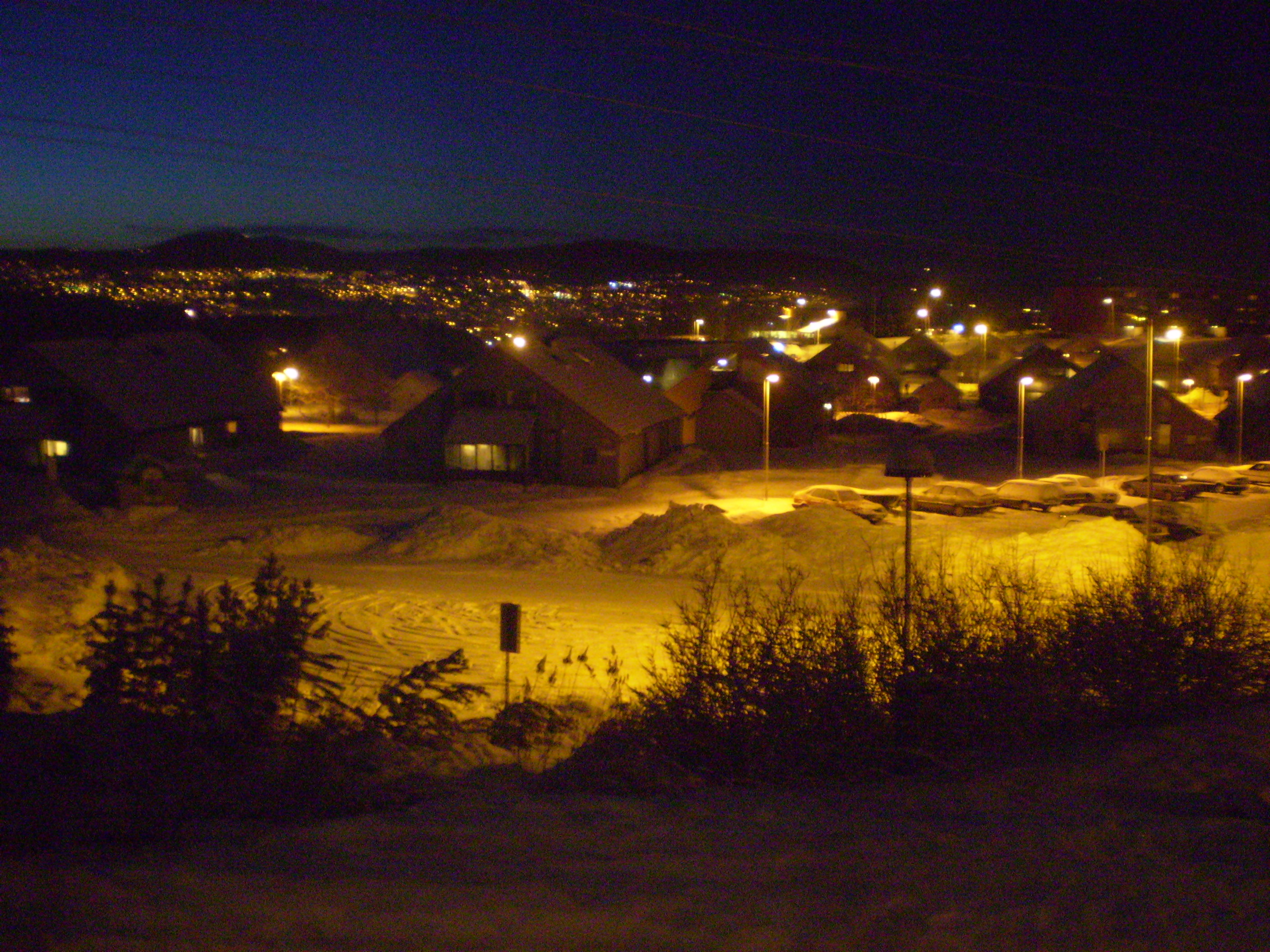 PB210347.JPG